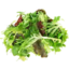 Photo of Coolibah Salad Leaves Organic Punnet
