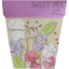 Photo of Sow n' Sow Gift of Seeds - Sweet Pea