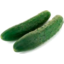 Photo of Cucumber Short 