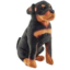 Photo of Rescue Dog Rottweiler 14cm