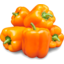 Photo of Capsicum Orange