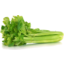 Photo of Celery Half Bunch