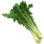 Photo of Chicory Bunch