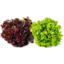 Photo of Farmers Choice Duet Hydroponic Lettuce Each