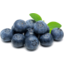 Photo of Blueberries Premium Jumbo Punnet