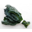 Photo of Black Kale Organic Bunch