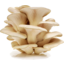 Photo of Victorian Oyster Mushrooms
