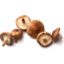 Photo of Shitake Mushroom Punnet