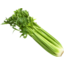 Photo of Celery Bunch each