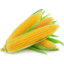 Photo of Sweet Corn