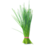 Photo of Chives - Per Bunch