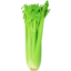 Photo of Org Celery Bunch