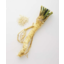 Photo of Horseradish