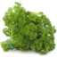 Photo of Parsley Curly
