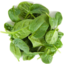 Photo of Lettuce - Baby Spinach
