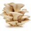 Photo of Umami Mushrooms White Oyster Each