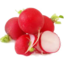 Photo of Radish