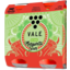 Photo of Vale Margarita Sour Can