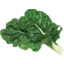 Photo of Silverbeet Pre-Pack