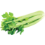 Photo of Fresh Celery Half