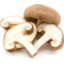 Photo of Mushrooms Shiitake