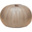 Photo of Organic Crown Pumpkin