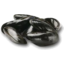 Photo of Fresh Mussels Kg