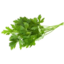 Photo of Herbs - Parsley Bunch Flat Leaf