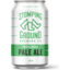 Photo of Stomping Ground Footloose Alcohol Free Pale Ale 16pk