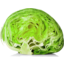 Photo of Lettuce Half