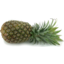 Photo of Pineapple Smooth Leaf Half Ea