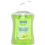 Photo of Dettol Anti Bacterial Refresh With Citrus Extract Hand Wash Pump 250ml