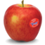 Photo of Apples Genesis Kg