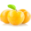 Photo of Plums Yellow
