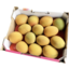 Photo of Mango Tray (18 to a tray)