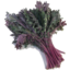 Photo of Kale Red