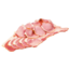 Photo of Bertocchi Long Bacon Rindless