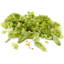 Photo of Lettuce - Salad Mix - Bulk
