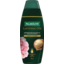 Photo of Palmolive Luminous Oils Moroccan Argan Oil & Camellia Strengthen & Protect Conditioner