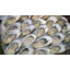 Photo of Fresh Oysters 1 Dozen