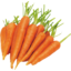 Photo of Carrots bunched
