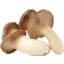 Photo of Mushroom King Oyster