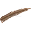 Photo of Berkley Gulp Sandworm Bloodworm