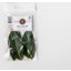Photo of The Good Grocer Collection Bay Leaves