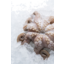Photo of Tassie Tumbled Octopus (Frozen)