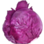 Photo of Cabbage Red Whole Ea