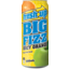 Photo of Fresh Up Big Fizz Juicy Orange 500ml Can