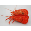 Photo of Crayfish Each