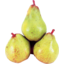 Photo of Doyenne Du Comice Pears