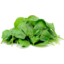 Photo of Salad Mix Loose Baby Spinach Kg